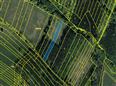 Dražba lesního pozemku v obci Bojkovice, okres Uherské Hradiště