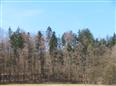 dražba pozemků (18 091 m2) v k.ú. Hněvkov, obec Zábřeh, okres Šumperk