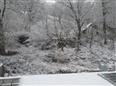Thumbnail image for /(X(1)S(dyj5xr4go2f3zhq02a0ua0qa))/_Data/Drazby/Obrazky/DR00082274/Velke/DR00082274~gvjh6_1.jpg