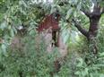 Dražba podílu id. 1/2 na objektu v obci Praha, k.ú. Suchdol