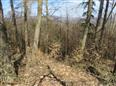 dražba pozemků - podíl 1/2 v k.ú. Horní Studénky, okres Šumperk
