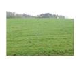 dražba pozemků (17516 m2) - id. podíl 7/20 v k.ú. Kladná Žilín, obec Luhačovice, okres Zlín