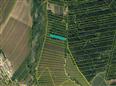 Dražba podílu id. 1/4 na lesních pozemcích v obci Hradec nad Moravicí, okres Opava