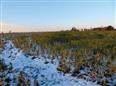 120 EX 4116/21-353 podíl 1/8 pozemků v k.ú. Nehvizdy, okres Praha-východ
