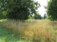 Thumbnail image for /(X(1)S(ylg53fyx3jywpnfxhmdk0uo0))/_Data/Drazby/Obrazky/DR00082117/Velke/DR00082117~fo4gg_4.jpg