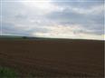 dražba pozemku - podíl 1/4 v k.ú. Zdětín u Benátek nad Jizerou, okres Mladá Boleslav