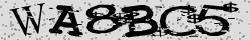 Retype the CAPTCHA code from the image