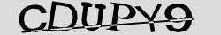 Retype the CAPTCHA code from the image