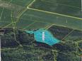 Dražba pozemků (17 240 m2) - podíl 1/12, okr. Ústní nad Orlicí 1 Thumbnail image for /_Data/Drazby/Obrazky/DR00081722/Velke/DR00081722~skgic_1.jpg