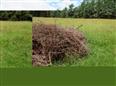 Thumbnail image for /_Data/Drazby/Obrazky/DR00083430/Velke/DR00083430~ea4jf_8.jpg