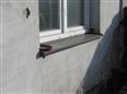 Thumbnail image for /_Data/Drazby/Obrazky/DR00083463/Velke/DR00083463~duvrm_7.jpg