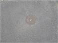 Thumbnail image for /_Data/Drazby/Obrazky/DR00083465/Velke/DR00083465~4rkth_4.jpg