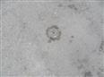 Thumbnail image for /_Data/Drazby/Obrazky/DR00083514/Velke/DR00083514~v6moj_20.jpg