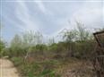 Thumbnail image for /_Data/Drazby/Obrazky/DR00083515/Velke/DR00083515~frngt_3.jpg