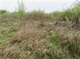 Thumbnail image for /_Data/Drazby/Obrazky/DR00083515/Velke/DR00083515~high4_2.jpg