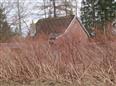 Thumbnail image for /_Data/Drazby/Obrazky/DR00083522/Velke/DR00083522~9exfq_6.jpg