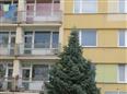 Thumbnail image for /_Data/Drazby/Obrazky/DR00083526/Velke/DR00083526~aesvq_2.jpg