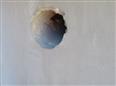 Thumbnail image for /_Data/Drazby/Obrazky/DR00083542/Velke/DR00083542~psiax_6.jpg