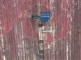 Thumbnail image for /_Data/Drazby/Obrazky/DR00083542/Velke/DR00083542~q8k87_10.jpg