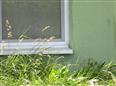 Thumbnail image for /_Data/Drazby/Obrazky/DR00083561/Velke/DR00083561~8rntm_10.jpg