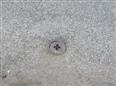Thumbnail image for /_Data/Drazby/Obrazky/DR00083562/Velke/DR00083562~y1x2c_6.jpg