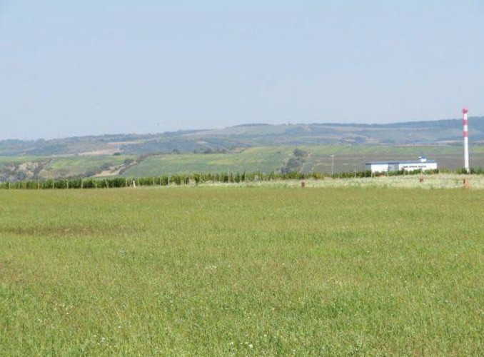 120 EX 4973/24-185 pozemky v k.ú. Šakvice, okres Břeclav