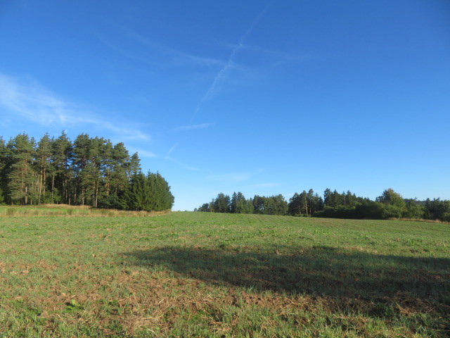 Dražba podílu id. 1/12 na pozemcích v obci Nekvasovy, okres Plzeň-jih