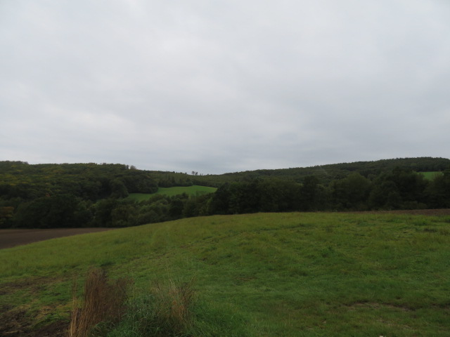 Dražba podílu id. 8/10 na zemědělských pozemcích v obci Březová, okres Uherské Hradiště