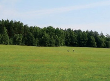 120 EX 2667/20-250 podíl 1/3 pozemku v k.ú. Cvikov, okres Česká Lípa