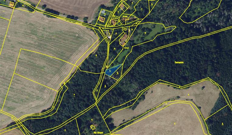 Dražba lesního pozemku v obci Letovice, okres Blansko