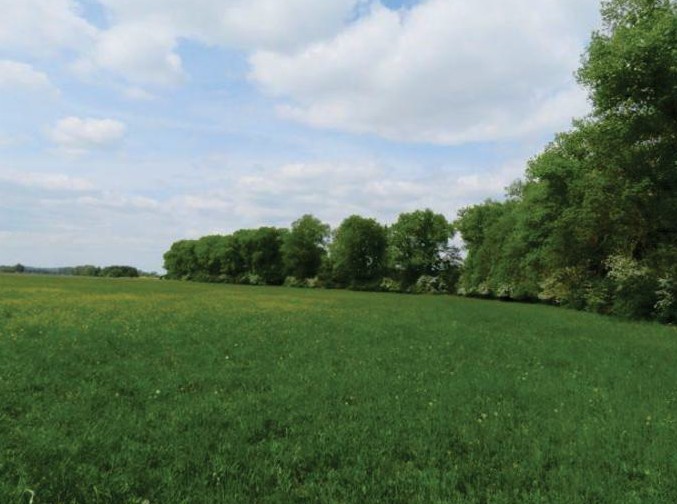 120 EX 6015/11-290 podíl 1/2 pozemků v k.ú. Chotělice, okres Hradec Králové