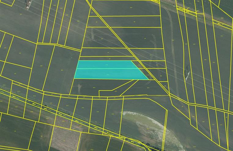 Dražba podílu id. 1/4 na pozemcích (orná půda) v obci Vrbová Lhota, okres Nymburk