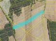 Thumbnail image for /_Data/Drazby/Obrazky/DR00083823/Velke/DR00083823~25yye_5.jpg