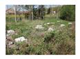 Thumbnail image for /_Data/Drazby/Obrazky/DR00083828/Velke/DR00083828~41e1d_2.jpg