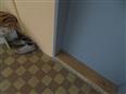 Thumbnail image for /_Data/Drazby/Obrazky/DR00083834/Velke/DR00083834~s0jjq_7.jpg