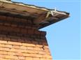 Thumbnail image for /_Data/Drazby/Obrazky/DR00083835/Velke/DR00083835~nkb9r_22.jpg
