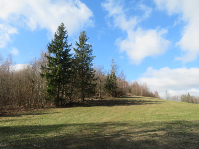 dražba 1/2 pozemků (41 933 m2) v k.ú. Bratrušov, okres Šumperk