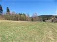 Thumbnail image for /_Data/Drazby/Obrazky/DR00083839/Velke/DR00083839~h9xa6_2.jpg