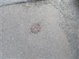 Thumbnail image for /_Data/Drazby/Obrazky/DR00083840/Velke/DR00083840~eo6bp_30.jpg