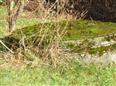 Thumbnail image for /_Data/Drazby/Obrazky/DR00083840/Velke/DR00083840~g92nd_27.jpg