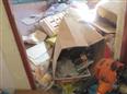 Thumbnail image for /_Data/Drazby/Obrazky/DR00083843/Velke/DR00083843~q1hw7_61.jpg