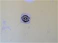 Thumbnail image for /_Data/Drazby/Obrazky/DR00083843/Velke/DR00083843~ryk54_57.jpg