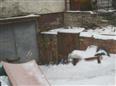 Thumbnail image for /_Data/Drazby/Obrazky/DR00083844/Velke/DR00083844~64egv_20.jpg