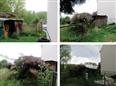 Thumbnail image for /_Data/Drazby/Obrazky/DR00083855/Velke/DR00083855~cqjor_2.jpg