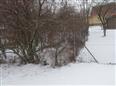 Thumbnail image for /_Data/Drazby/Obrazky/DR00083877/Velke/DR00083877~agbki_6.jpg