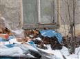 Thumbnail image for /_Data/Drazby/Obrazky/DR00083877/Velke/DR00083877~glwyl_11.jpg