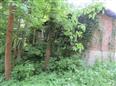 Thumbnail image for /_Data/Drazby/Obrazky/DR00083879/Velke/DR00083879~oovaf_6.jpg