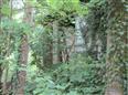 Thumbnail image for /_Data/Drazby/Obrazky/DR00083879/Velke/DR00083879~ynane_7.jpg