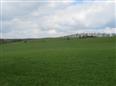 Thumbnail image for /_Data/Drazby/Obrazky/DR00083882/Velke/DR00083882~2hy4x_4.jpg