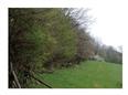 Thumbnail image for /_Data/Drazby/Obrazky/DR00083885/Velke/DR00083885~cx55f_2.jpg